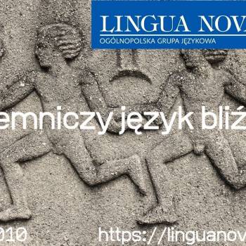Tajemniczy język bliźniąt przedmiotem badań naukowców